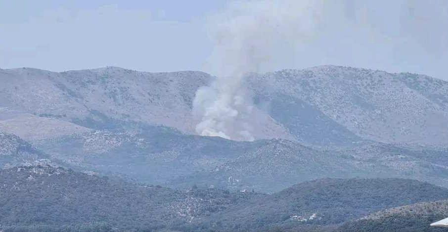 Πυρκαγιά σε δασική έκταση στην περιοχή Βαχός Λακωνία